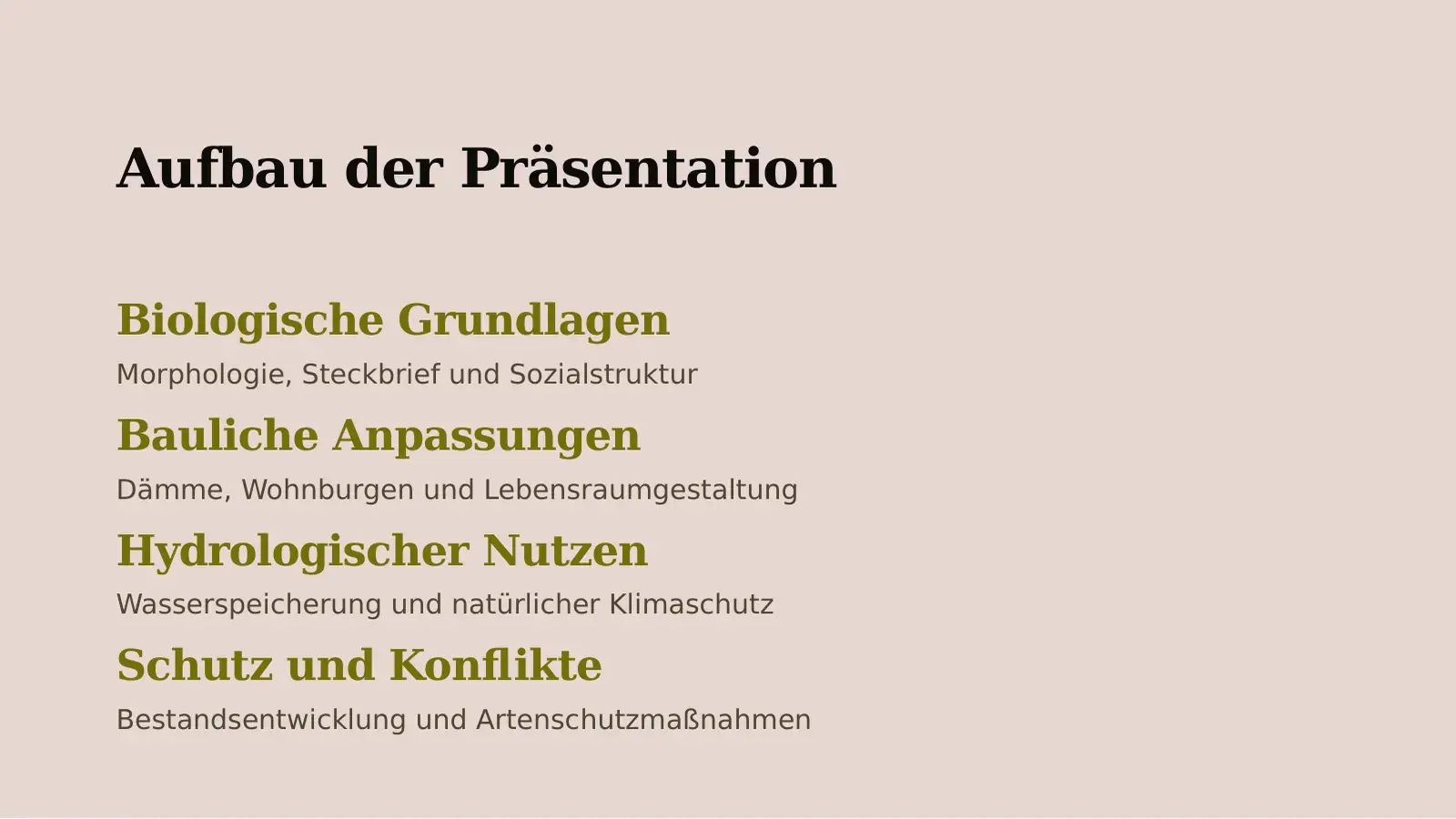 Slide “Aufbau der Präsentation” with four chapters, each with one line of explanation.